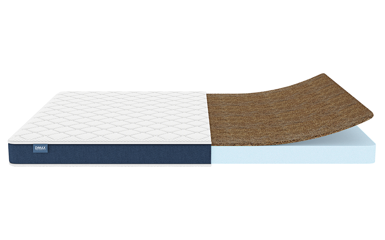 Dimax Практик Чип Ролл 10 кокос